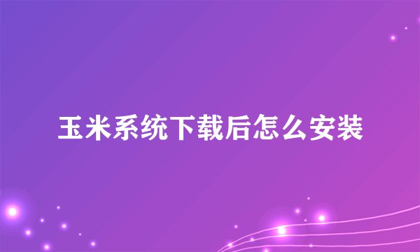 玉米系统下载后怎么安装