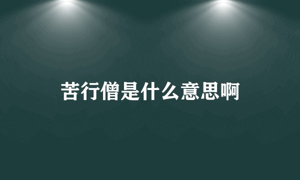 苦行僧是什么意思啊