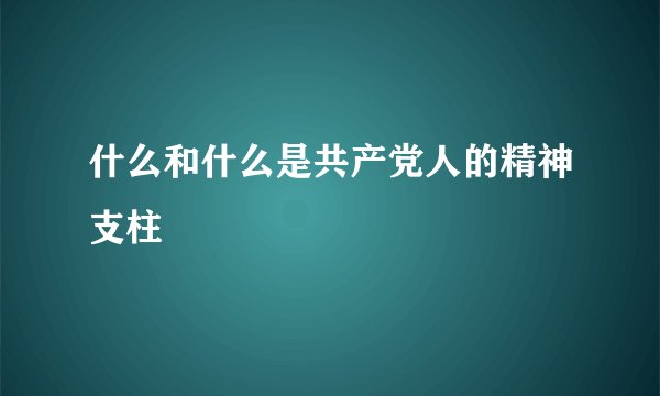 什么和什么是共产党人的精神支柱