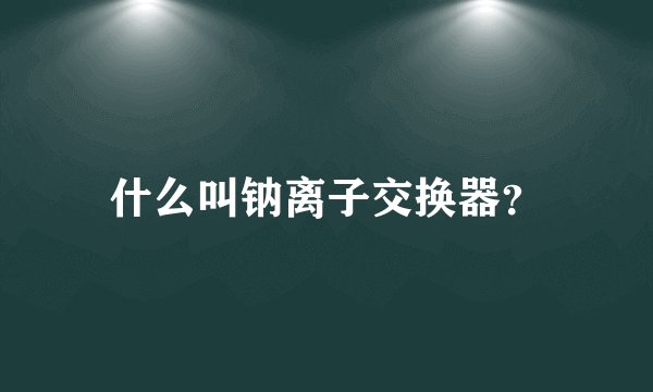 什么叫钠离子交换器？