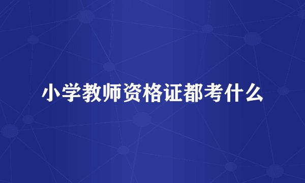 小学教师资格证都考什么