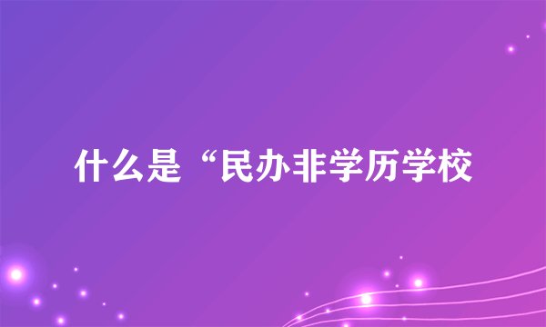 什么是“民办非学历学校