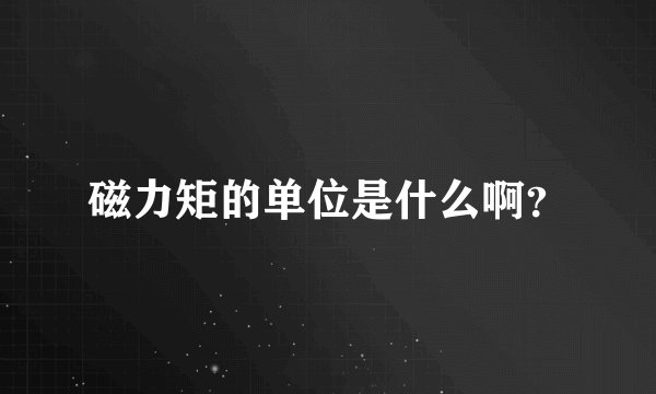 磁力矩的单位是什么啊？