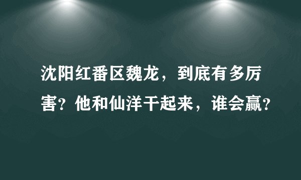 沈阳红番区魏龙，到底有多厉害？他和仙洋干起来，谁会赢？