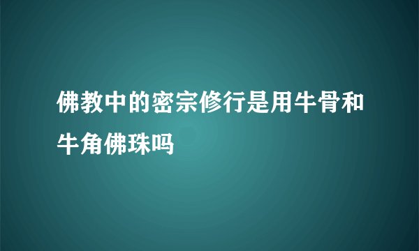 佛教中的密宗修行是用牛骨和牛角佛珠吗