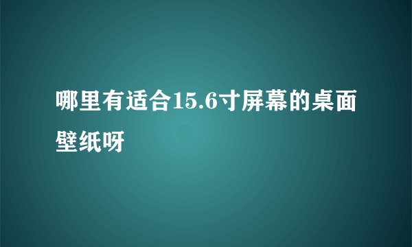 哪里有适合15.6寸屏幕的桌面壁纸呀