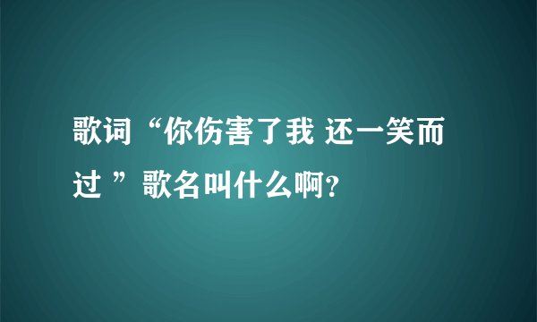 歌词“你伤害了我 还一笑而过 ”歌名叫什么啊？