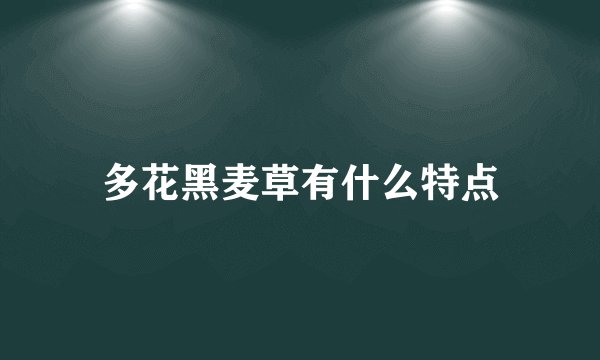 多花黑麦草有什么特点