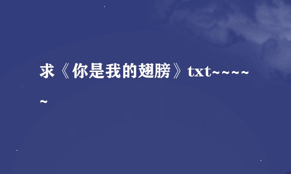 求《你是我的翅膀》txt~~~~~