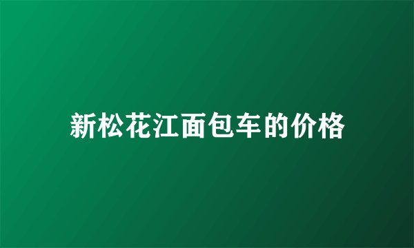 新松花江面包车的价格