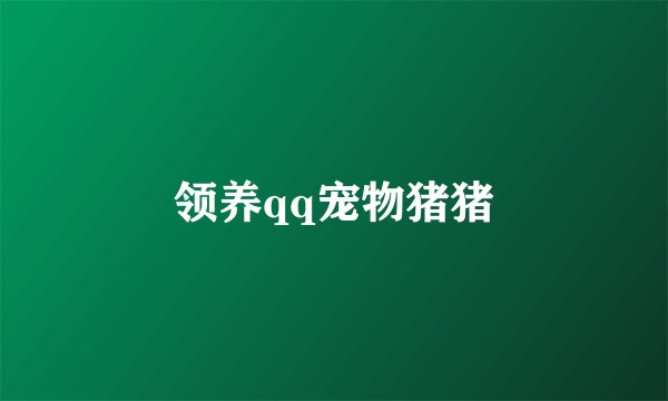 领养qq宠物猪猪