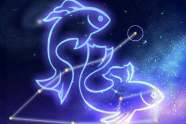 双鱼男和什么星座最配？