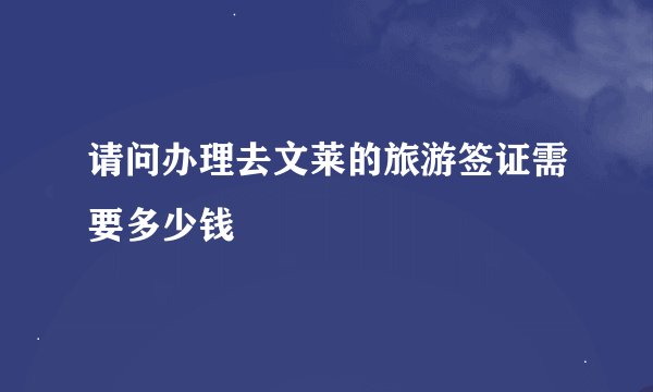 请问办理去文莱的旅游签证需要多少钱