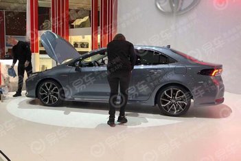 2019款卡罗拉图片