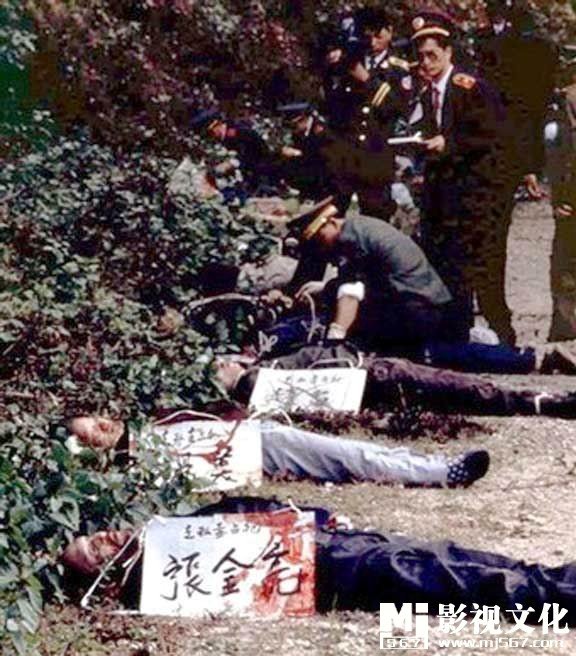 关于死刑犯陶静的问题？