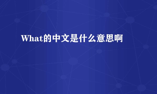 What的中文是什么意思啊