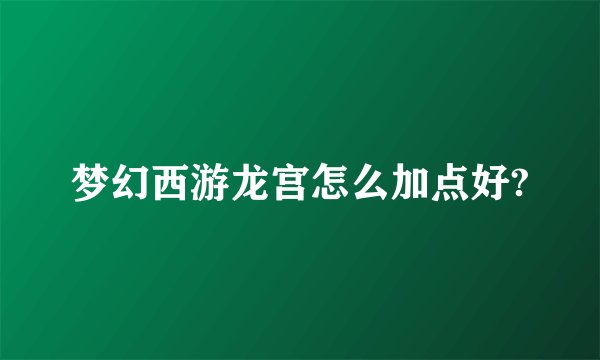 梦幻西游龙宫怎么加点好?