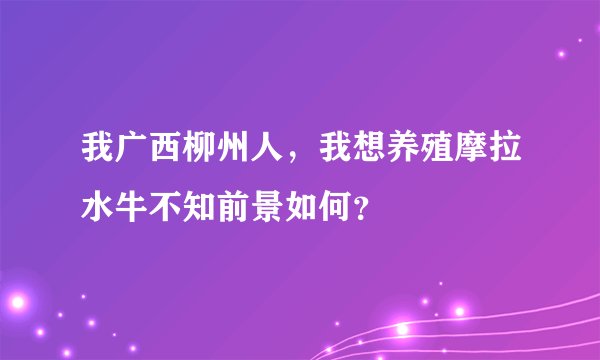 我广西柳州人，我想养殖摩拉水牛不知前景如何？