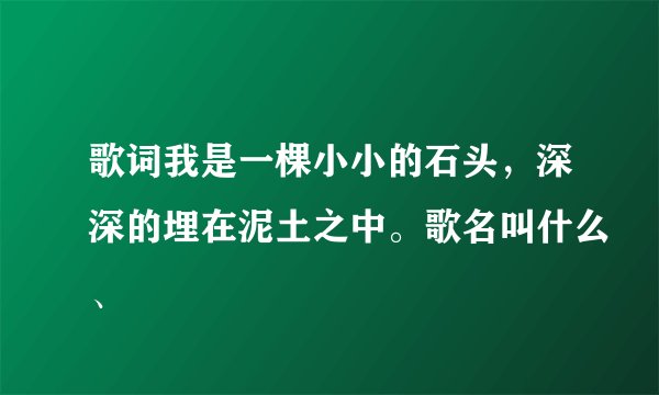 歌词我是一棵小小的石头，深深的埋在泥土之中。歌名叫什么、