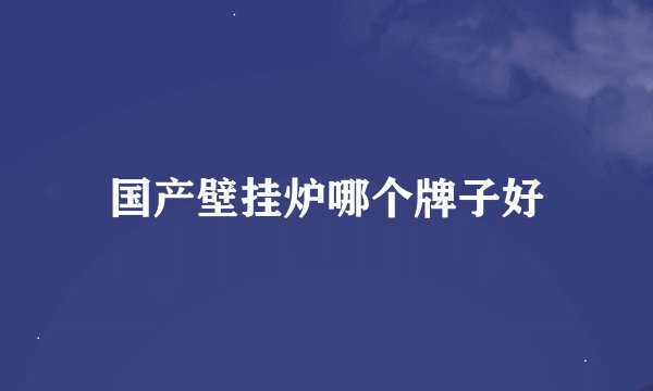 国产壁挂炉哪个牌子好