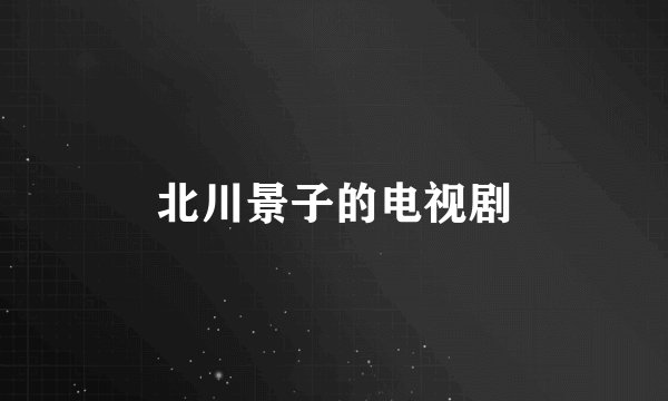 北川景子的电视剧