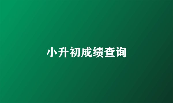 小升初成绩查询