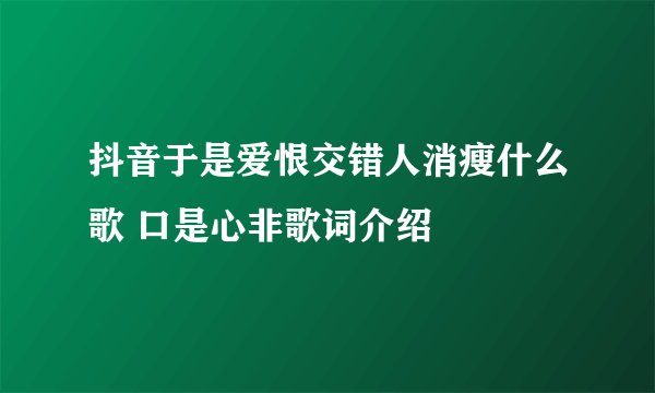 抖音于是爱恨交错人消瘦什么歌 口是心非歌词介绍