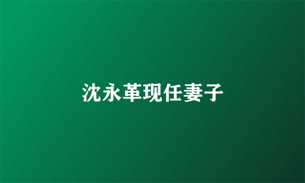 沈永革现任妻子