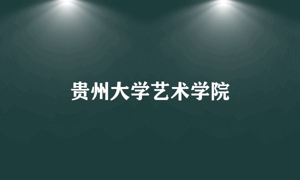 贵州大学艺术学院