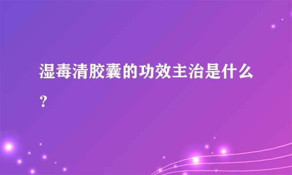 湿毒清胶囊的功效主治是什么？
