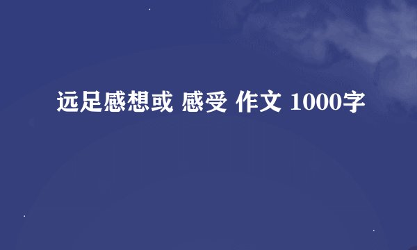 远足感想或 感受 作文 1000字