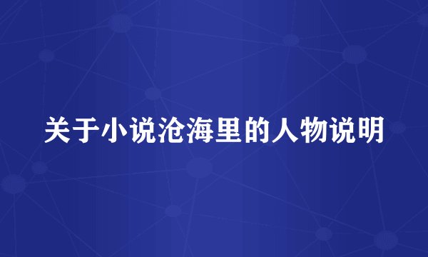 关于小说沧海里的人物说明