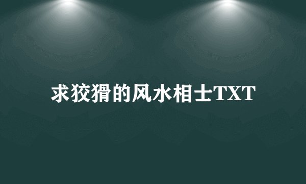 求狡猾的风水相士TXT