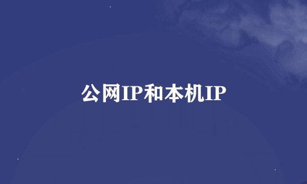 公网IP和本机IP