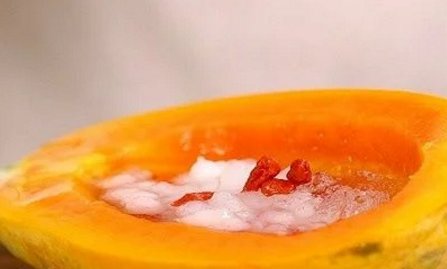 燕窝怎么炖最有营养，可以和什么一起炖