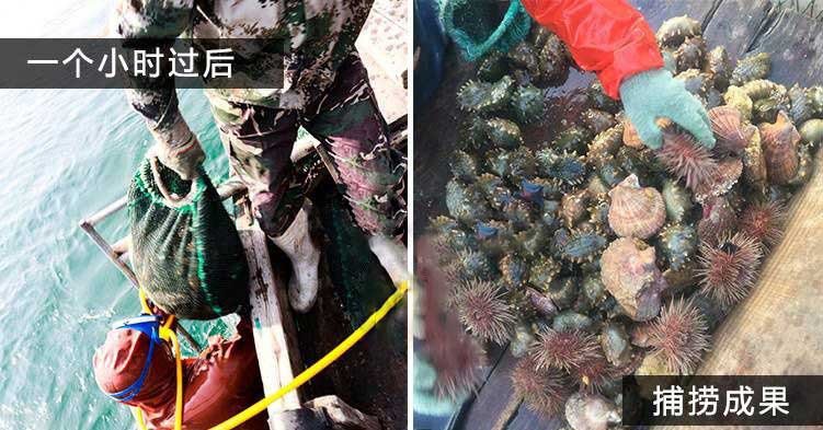 海参的价格多少钱