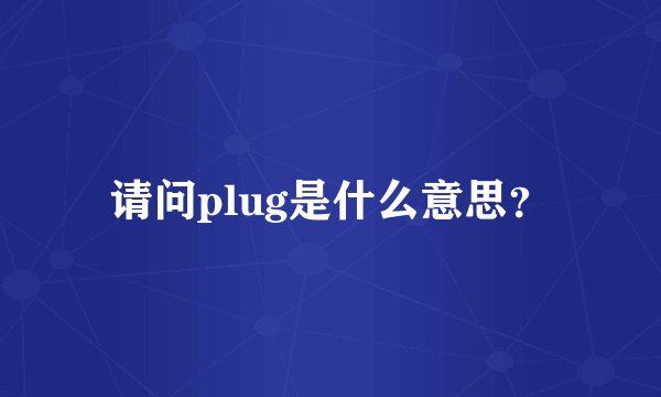 请问plug是什么意思？