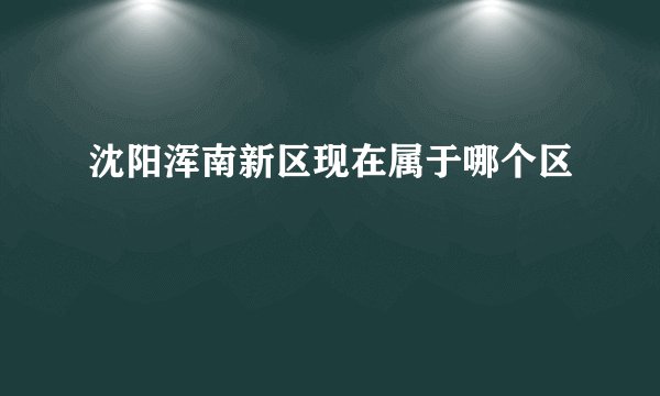 沈阳浑南新区现在属于哪个区