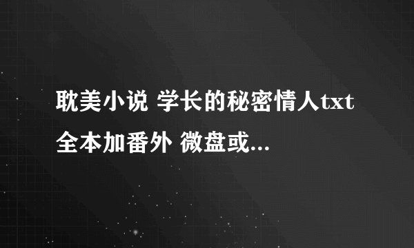 耽美小说 学长的秘密情人txt 全本加番外 微盘或者百度云都可以