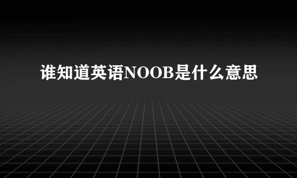 谁知道英语NOOB是什么意思