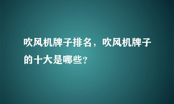 吹风机牌子排名，吹风机牌子的十大是哪些？