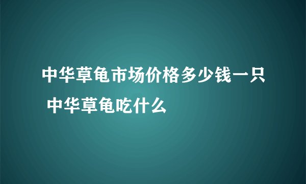 中华草龟市场价格多少钱一只 中华草龟吃什么