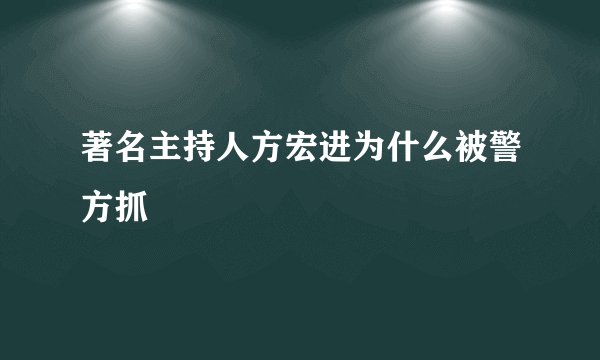 著名主持人方宏进为什么被警方抓