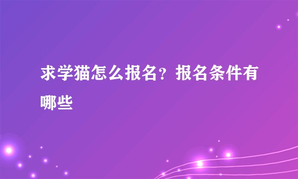 求学猫怎么报名？报名条件有哪些