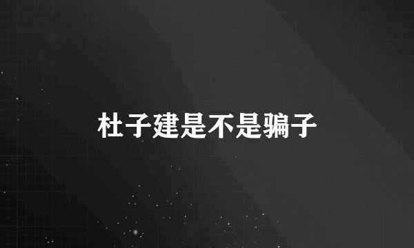 杜子建是不是骗子