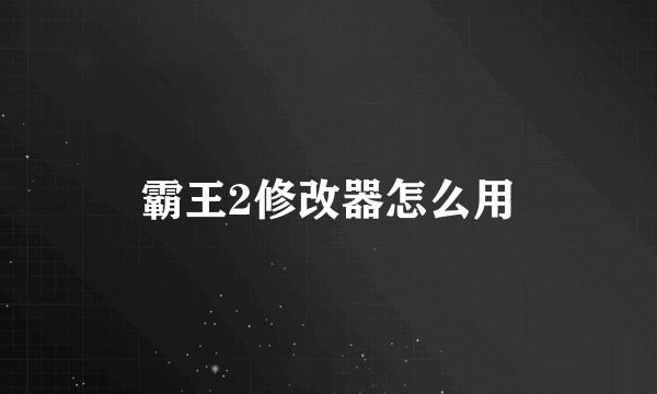 霸王2修改器怎么用