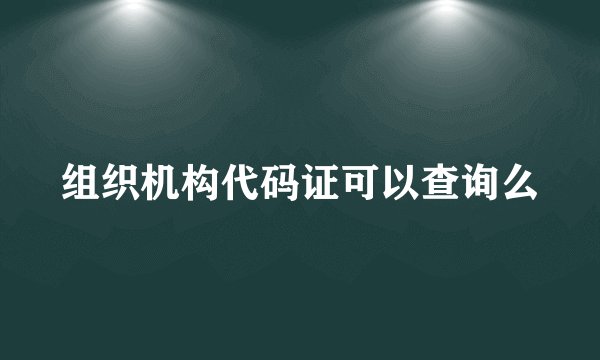 组织机构代码证可以查询么