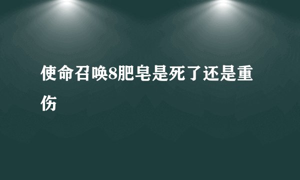 使命召唤8肥皂是死了还是重伤