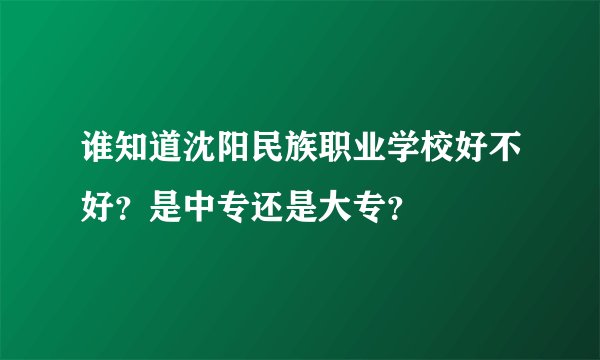 谁知道沈阳民族职业学校好不好？是中专还是大专？