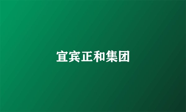 宜宾正和集团